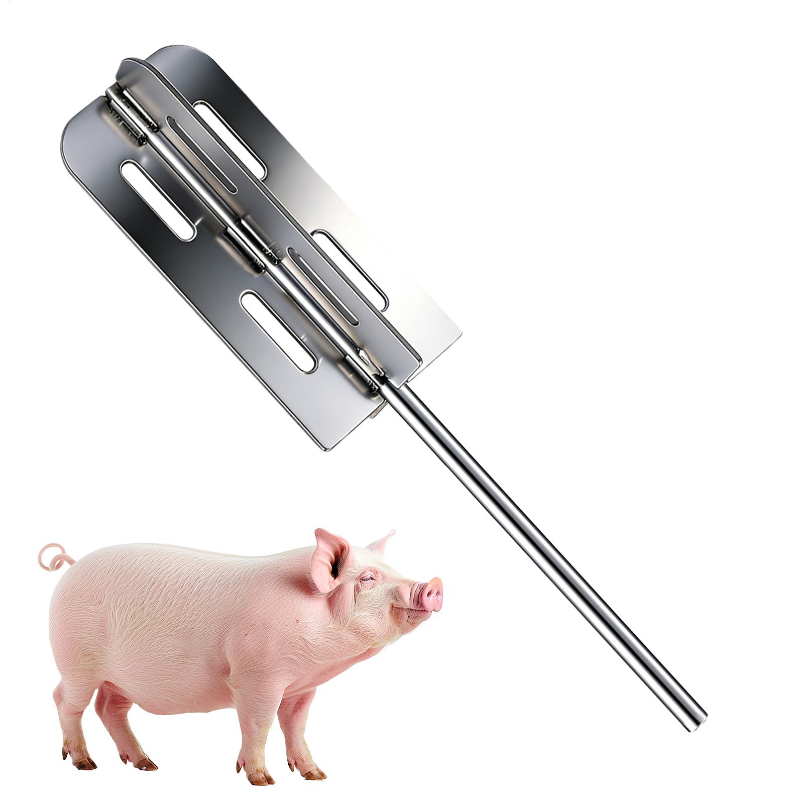 เครื่องมือกำจัดขนหมู สแตนเลส ใ - Power Tools Workshop บทวิจารณ์และราคา